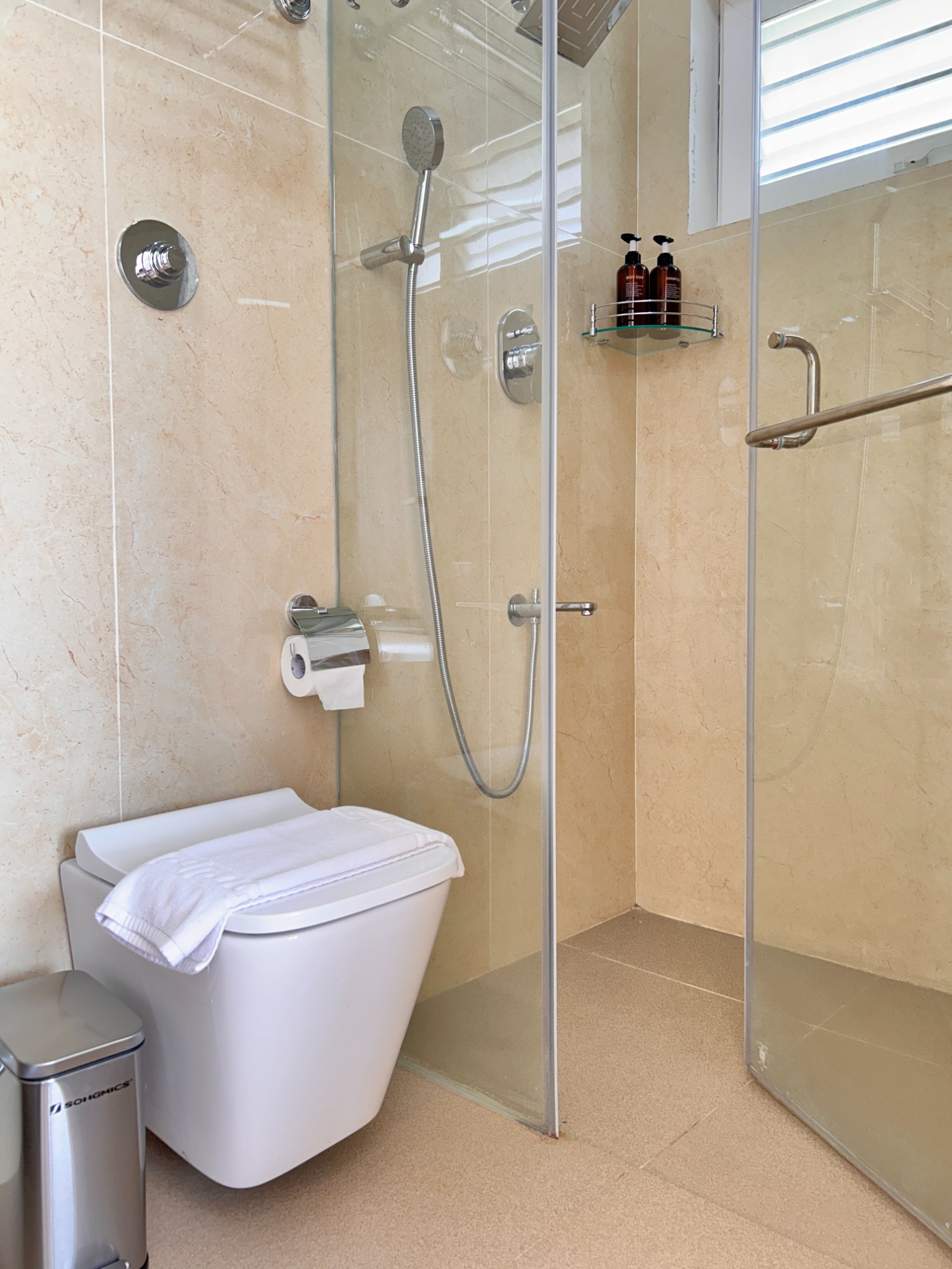 Modern bathroom with glass shower and wall-hung toilet