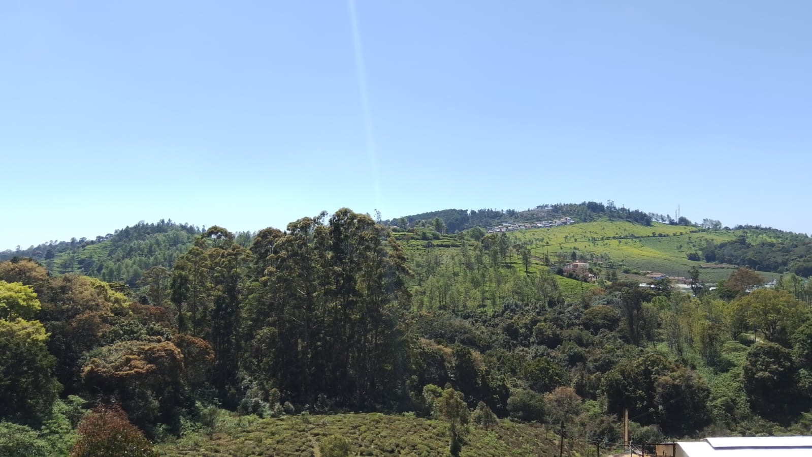 Morning view from balcony